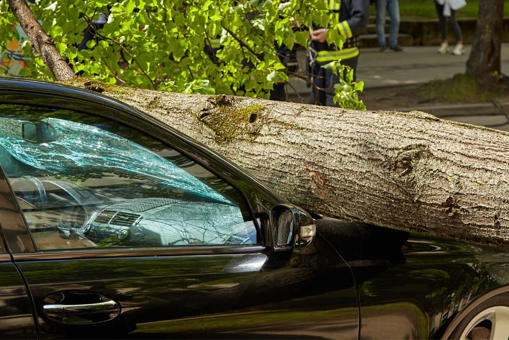 car-storm-damage